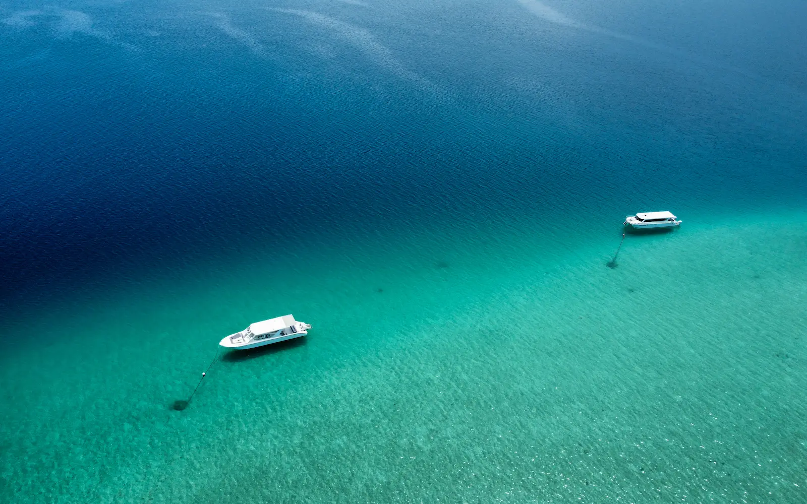 Premium travel logistics